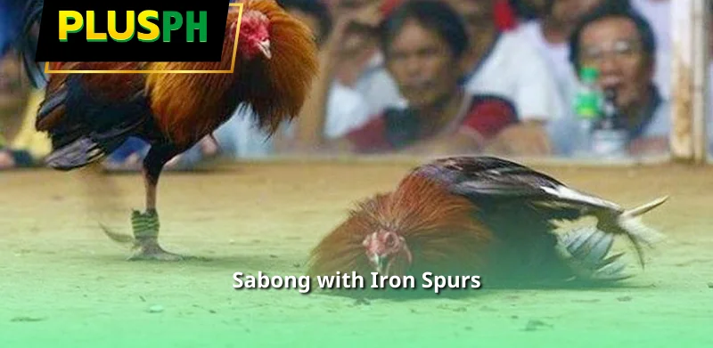 Sabong with Iron Spurs